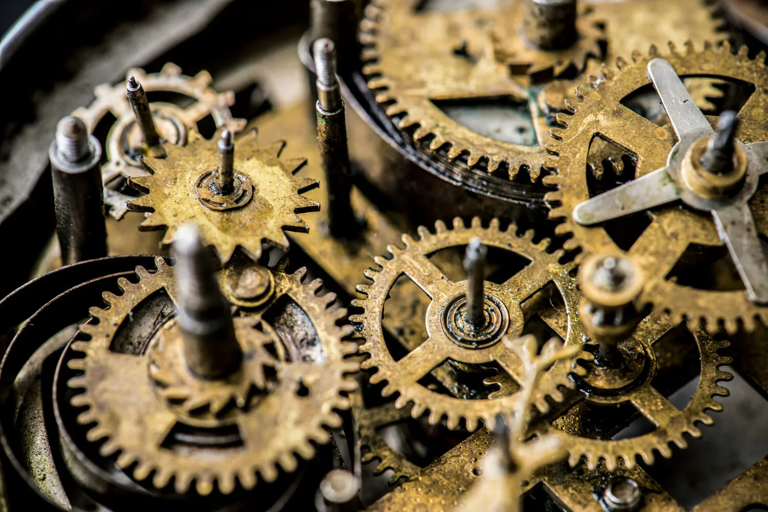 image title Gears