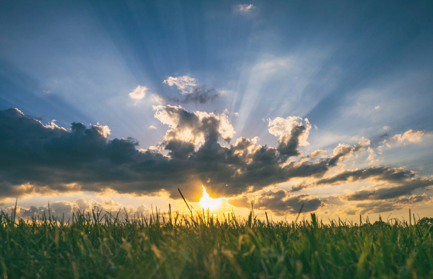 image title Sunny day