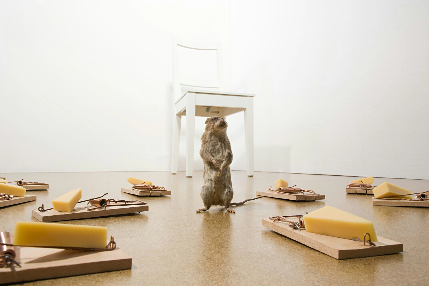 Mousetrap