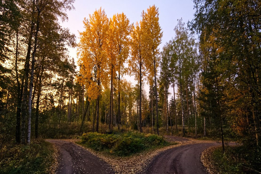 Blog Image