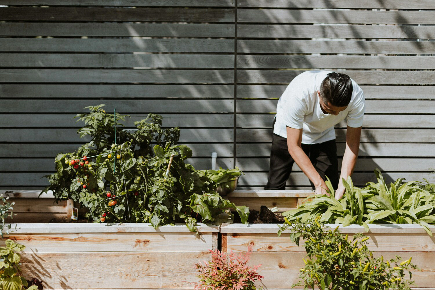 image title Gardening