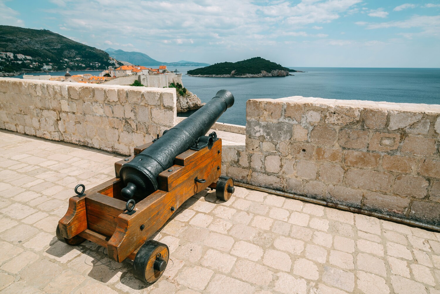 Cannon and dry powder