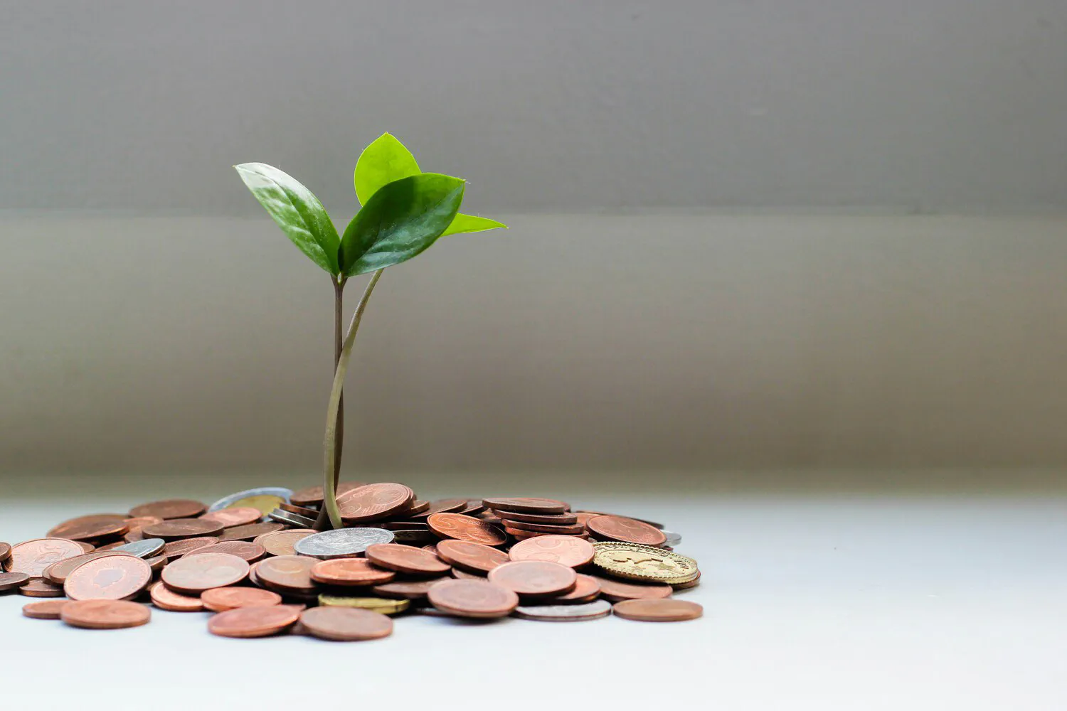 Compounding returns